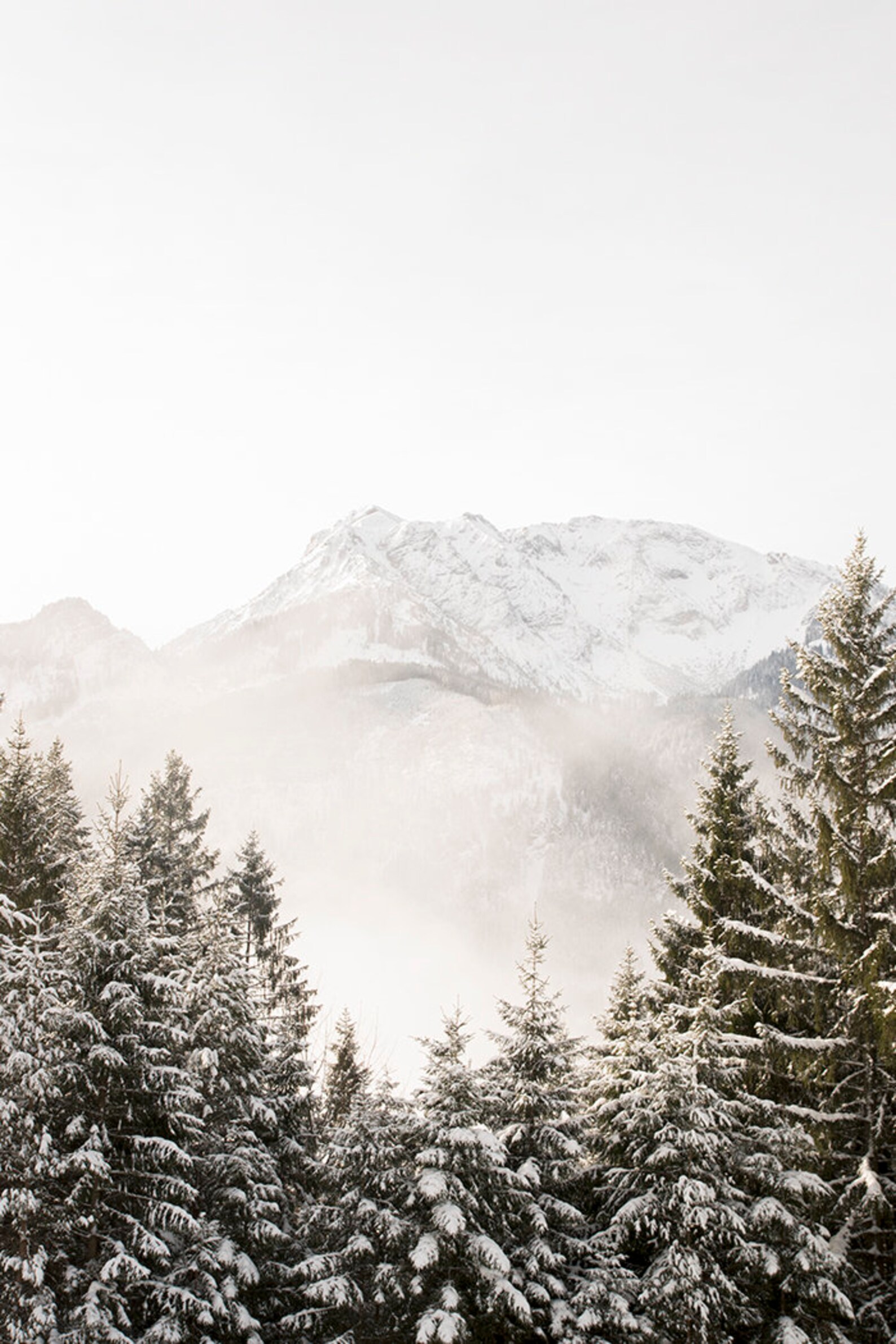 Mountain Forest Wall Art Printable Nature Art Downloadable Etsy