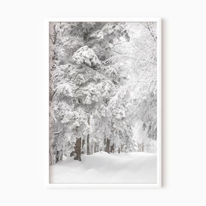 Winter Forest Art Print Download | Printable Christmas Poster | Snowy Landscape Digital Wall Art   #1433