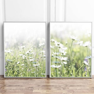 May include: Two framed prints of a field of white daisies with green stems and leaves. The background is a soft, blurred white.