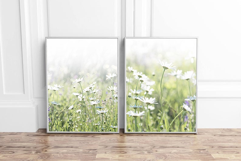 May include: Two framed prints of a field of white daisies with green stems and leaves. The background is a soft, blurred white.