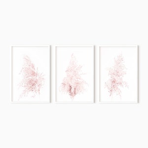 Puede incluir: Conjunto de tres impresiones enmarcadas con delicadas ilustraciones de hierba de la pampa rosa sobre un fondo blanco.