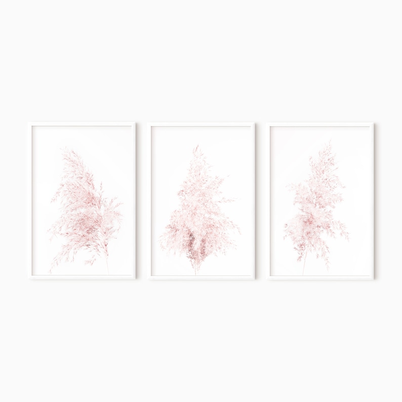 Puede incluir: Conjunto de tres impresiones enmarcadas con delicadas ilustraciones de hierba de la pampa rosa sobre un fondo blanco.