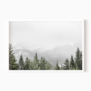 May include: A misty mountain landscape with a row of evergreen trees in the foreground. The mountains are covered in snow and the sky is a light gray.