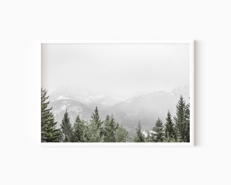 May include: A misty mountain landscape with a row of evergreen trees in the foreground. The mountains are covered in snow and the sky is a light gray.