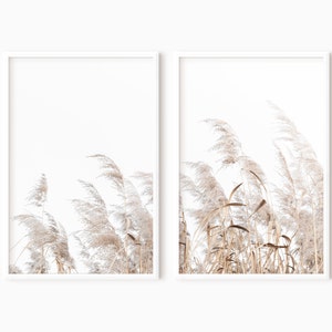 Pampas Grass Print Set Of 2 Farmhouse Decor Printable Art 0325 image 4