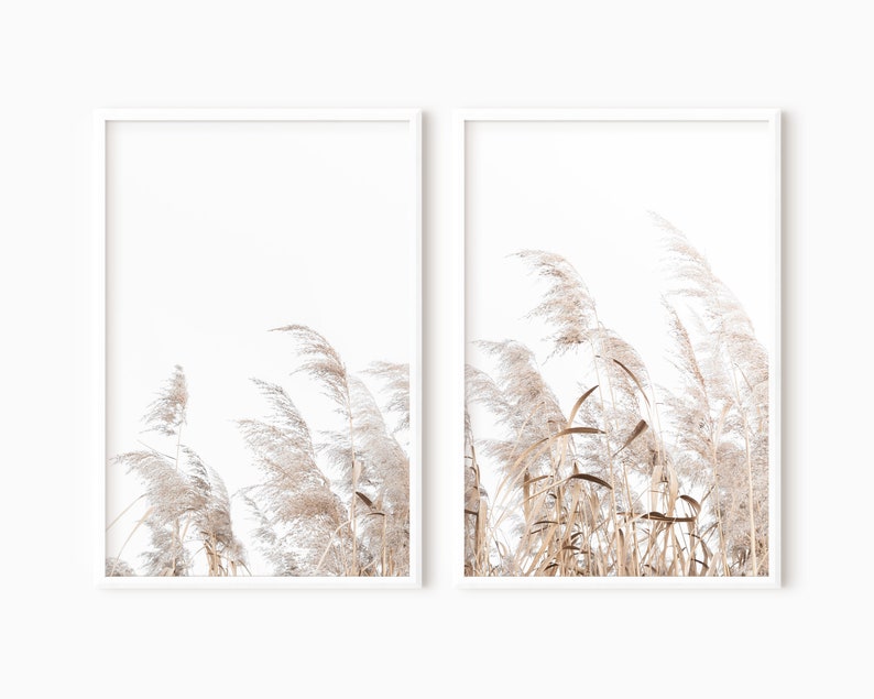 Pampas Grass Print Set Of 2 Farmhouse Decor Printable Art 0325 image 4