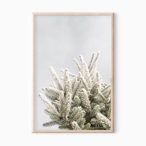 Pine Tree Print | Printable Winter Snowy Photography DOWNLOAD   #0614