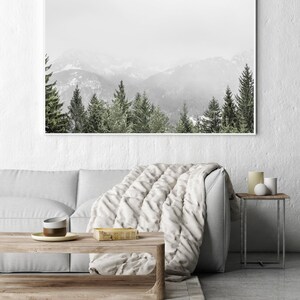 May include: A black and white photograph of a mountain range with a line of evergreen trees in the foreground. The mountains are covered in snow and the sky is cloudy.
