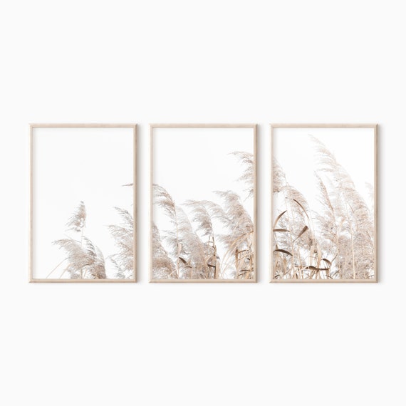 Dried Grass Print Set Of 3 Modern Farmhouse Art - DOWNLOADABLE PRINTS   #0324