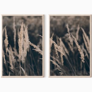 Arte de parede de fazenda | Conjunto de 2 impressões de grama | Download digital nº 0742