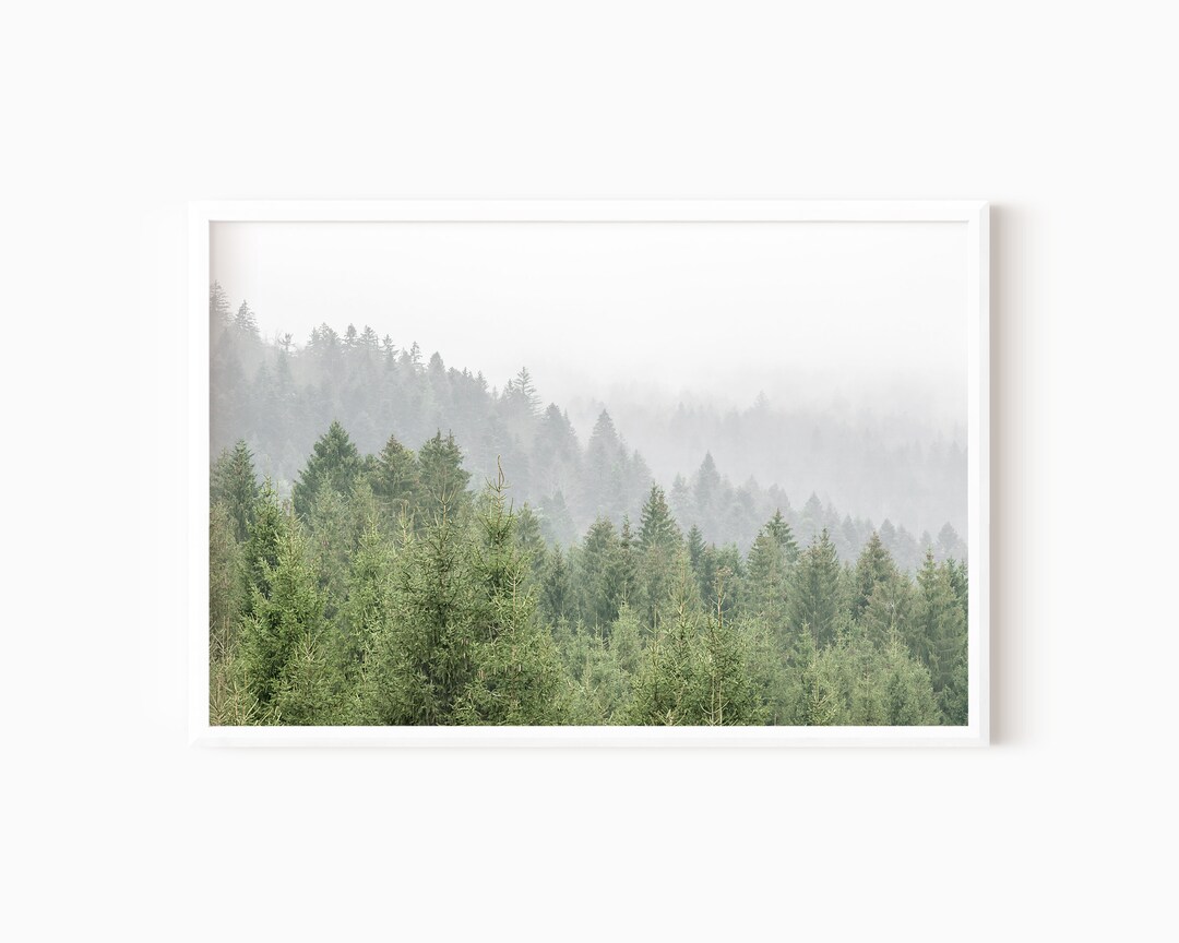 Misty Forest Print | Foggy Nature Printable Wall Art #1142 - Etsy