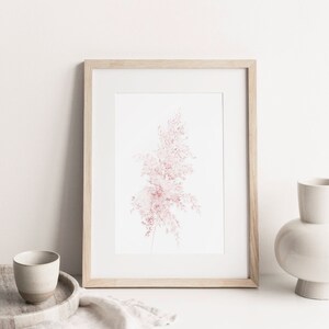 Puede incluir: Una impresi&oacute;n enmarcada de una delicada ilustraci&oacute;n floral rosa sobre un fondo blanco. La impresi&oacute;n est&aacute; en un marco de madera clara y se encuentra sobre una superficie blanca con un jarr&oacute;n de cer&aacute;mica blanca y una peque&ntilde;a taza de cer&aacute;mica blanca.