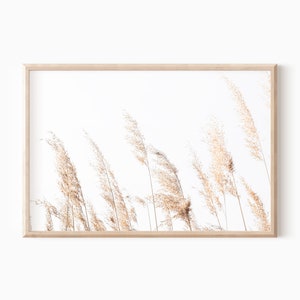 Bauernhaus Digital Grass Fotografie Druck | Beige Home Decor | Druckbare Illustration der Natur #1070
