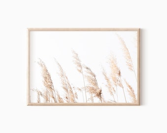 Farmhouse Digital Grass Photography Print | Beige Home Decor | Printable Nature Art   #1070