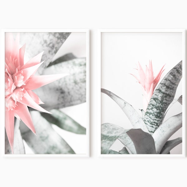 Plant Prints Set Of 2 Wall Art Botanical Print Set Of 2 Prints Pink Art Bromeliad Print #0584