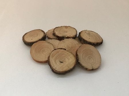 Birch Wood Slices Raw Birch Tree Circles Rustic Wood Rounds for