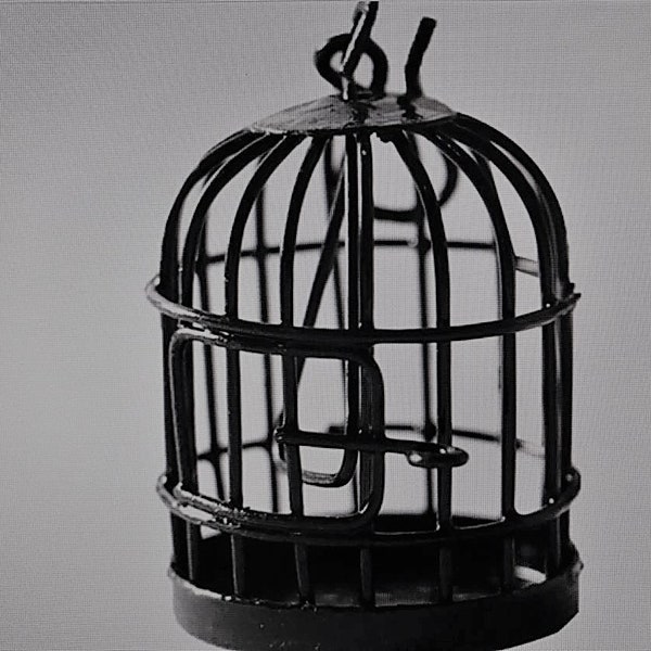 1 Mini Bird Cage - 2 Color Choices