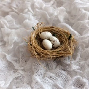 Mini Birds Nest with Eggs