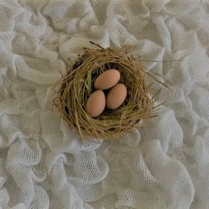 Kleines Nest mit 3 vorgetäuschten Vogeleiern