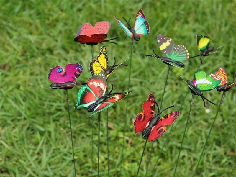10 Butterfly Picks