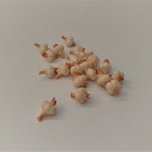 2 Mini Garlic