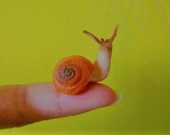 Mini  Pretend Snail