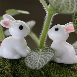 2 Mini Bunnies