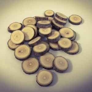 10 or 20 Wood Round Slices