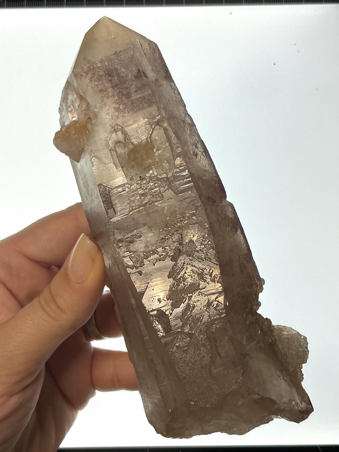 スモーキークォーツ ポイント ブラジル　ミナスジェライス産 ブラジル ミナスジェライス産 スモーキーエレシタルクォーツポイント