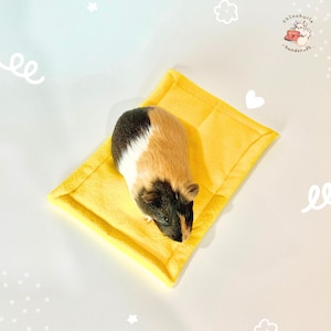 Square bed sheet 20x30cm , Pet Mats urine absorb & Pads Anti-Pill fleece for Chinchilla, Pee Pads guinea pig, ferret, rabbit, or small pets image 4