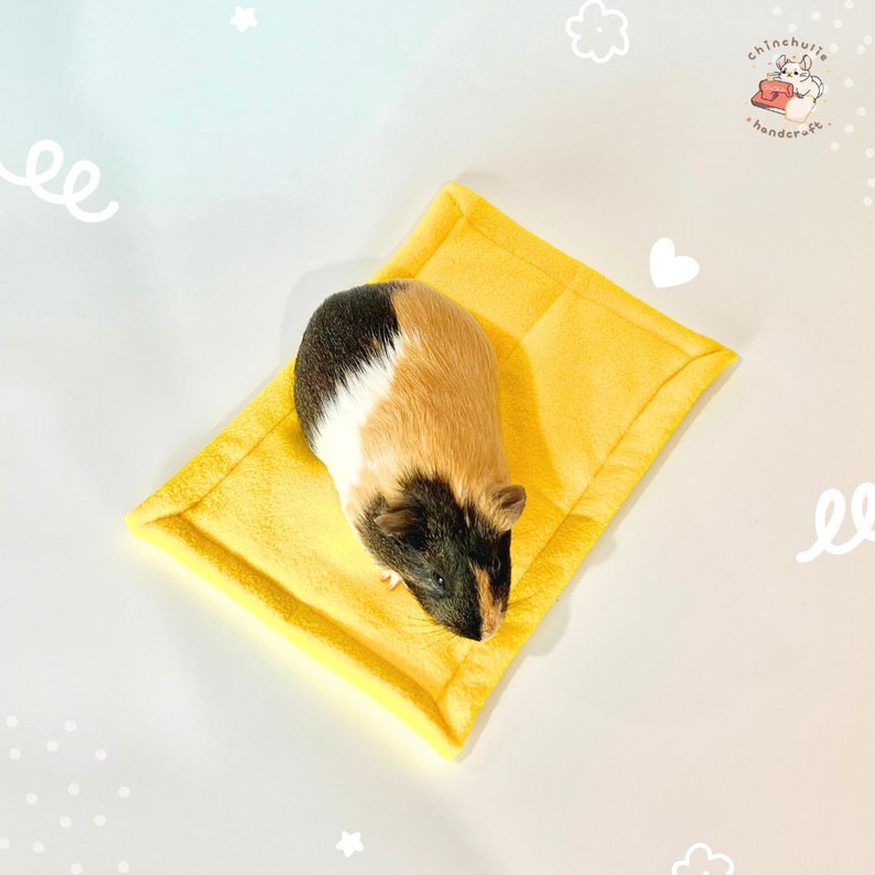 Square bed sheet 20x30cm , Pet Mats urine absorb & Pads Anti-Pill fleece for Chinchilla, Pee Pads guinea pig, ferret, rabbit, or small pets image 4