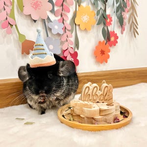 Pastel de cumpleaños de madera de pino secada al horno para chinchillas, conejos, conejillos de indias, pasteles del día de la adopción