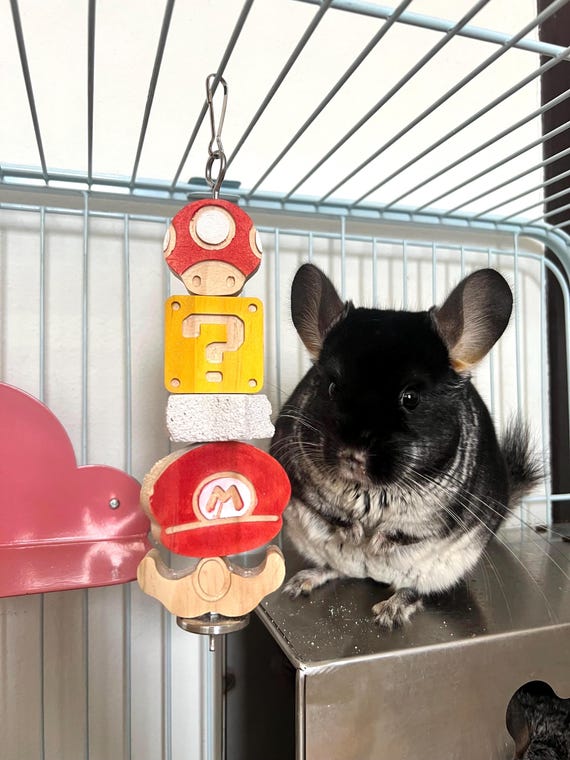 Juguetes masticables colgantes con forma de hongo para chinchillas