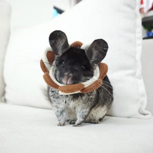 E-Collar for Post-Surgery Protection – Triple-Layered Anti-Pill Fleece for Chinchillas, Guinea Pigs & Small Pets