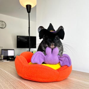 Läskig pumpa-gosmugg för chinchillor och marsvin - Halloween-klar