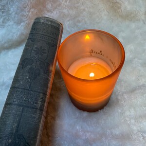The Foundations of Botany by Joseph Y. Bergen, A.M.