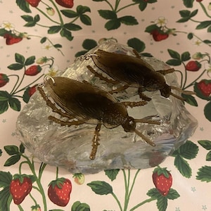 Roach Earrings