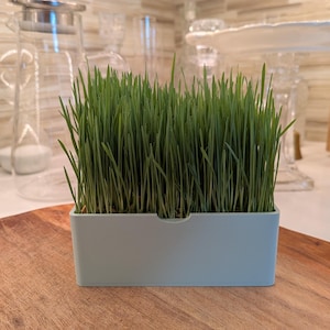 May include: A rectangular, light blue planter filled with vibrant green grass. The planter sits on a wooden surface, with a blurred background of kitchen items. The grass is lush and healthy, suggesting a focus on indoor gardening.