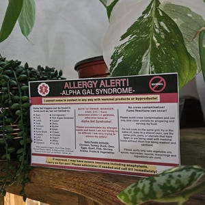 Alpha-Gal Allergy Restaurant Card | AGS Awareness, Multiple Languages (Digital Download)