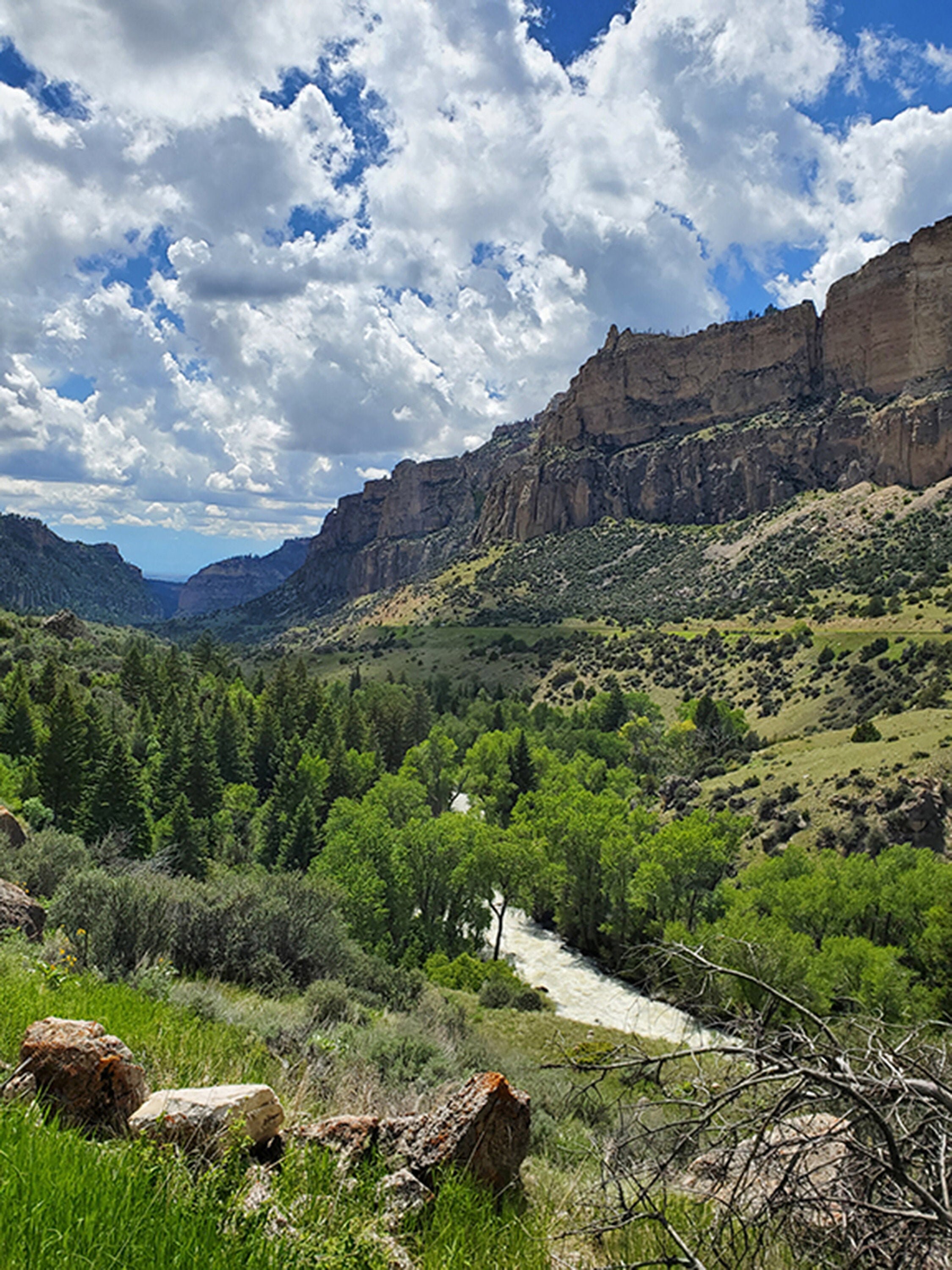 Old Hwy 16 Big Horn Mountains in Wyoming Etsy