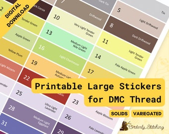 Small DMC Diamond Painting Labels Color Coordinated DMC Stickers 0.5 Inch  Square for Drill Organization & Storage, Cross Stitch Floss Labels 