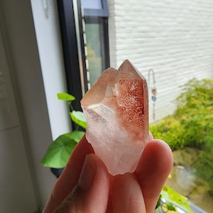 Scarlet temple lemurian - Etsy 日本