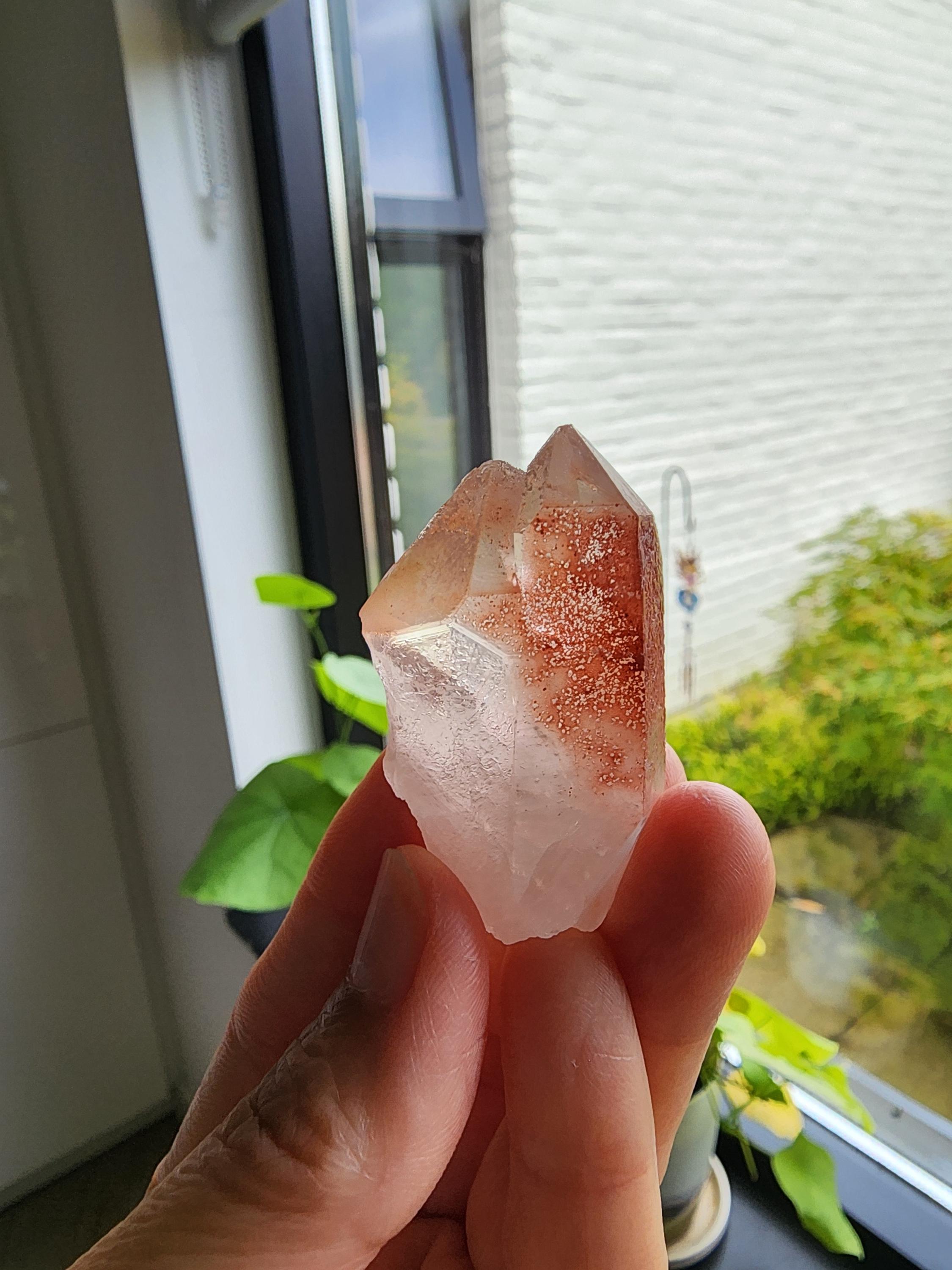 Scarlet temple lemurian - Etsy 日本