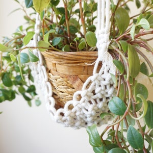 Outdoor Decor, Plant Pot Holder, Gardner Gift, Small Macrame Hammock, Macrame Plant Hanger, Plant Decorations, Air Plant Holder, Gift image 1