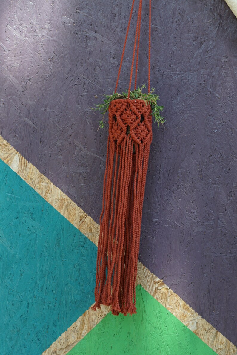 Terracotta Plant Hanger, Terracotta Wedding Decor, Macrame Air Plant Holder, Terracotta Home Decor, Plant Hanger Indoor,Plant Hanger Macrame image 3