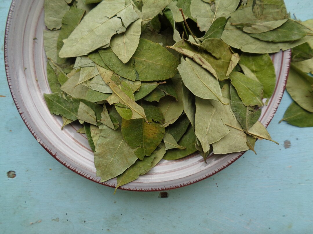 Coca Blätter TEA 40 g / 1.4 oz 80 g / 2.8 oz 120 g / 4.2 oz - Etsy.de