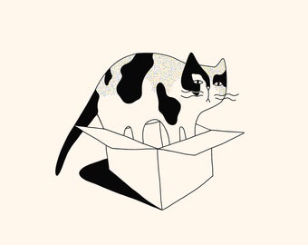 Cat In a Box