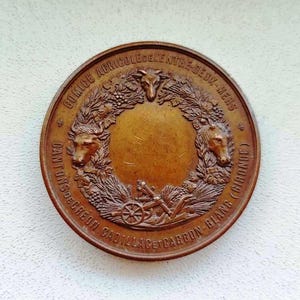 Médaille En Bronze Doré Thème Agricole - Médailles étrangères Vintage