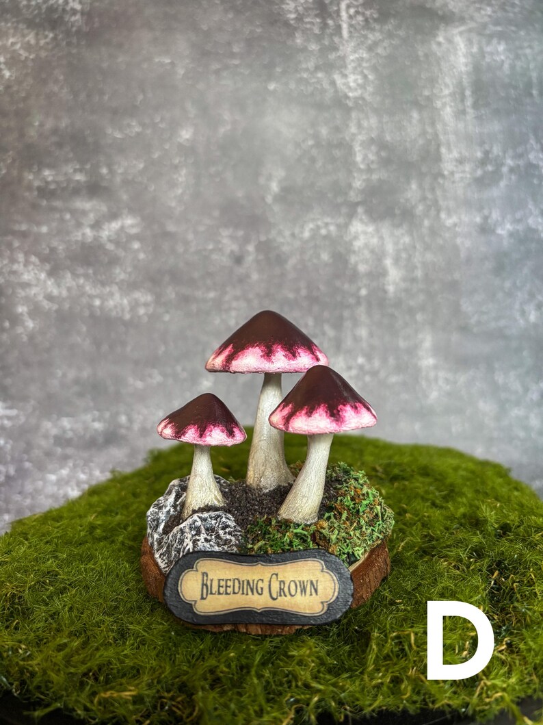 Handmade Skyrim Mushrooms Fantasy Alchemist Decor, Elder Scrolls Gift ...