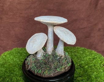 Skyrim White Cap and Imp Stool mushroom clay sculptures